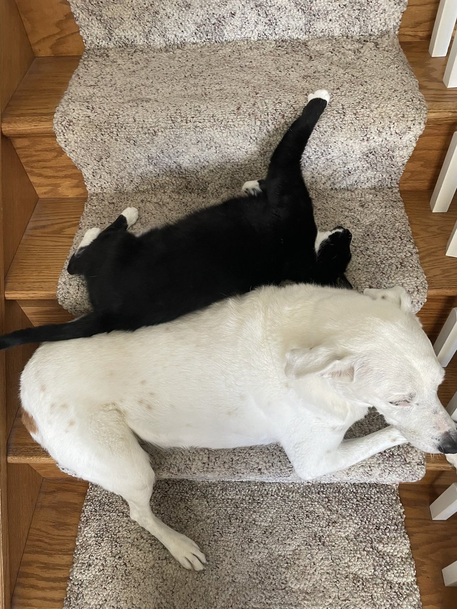 Stress Freehon tweet media