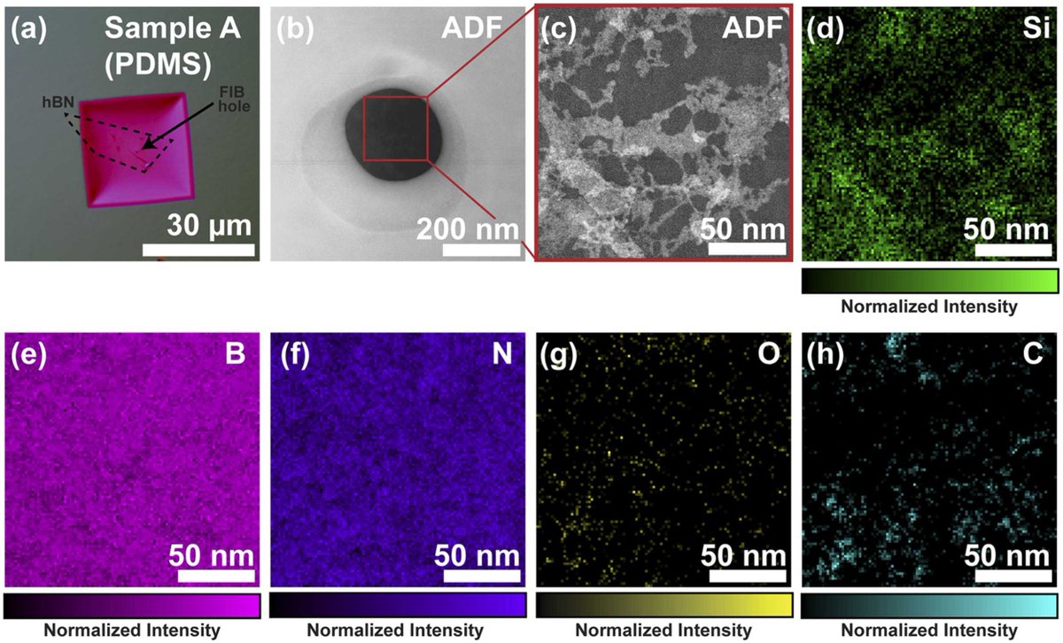 sciencedirect.com/science/articl…
New paper from our lab: "A tale of two transfers: characterizing polydimethylsiloxane viscoelastic stamping and heated poly bis-A carbonate transfer of hexagonal boron nitride", Pia Bhatia, Trey T. Shin, Kyril Kavetsky et al. Micron, 2024.