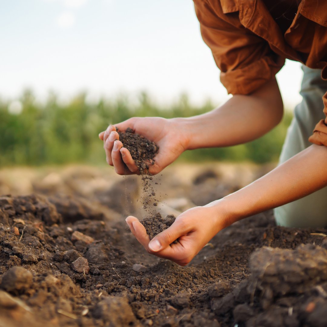 Topsoil: the thin line between us and, well, no food. 🌱 

Shoot us a message to learn how we can help you protect it! 

newgenagri.com

#SaveOurSoil