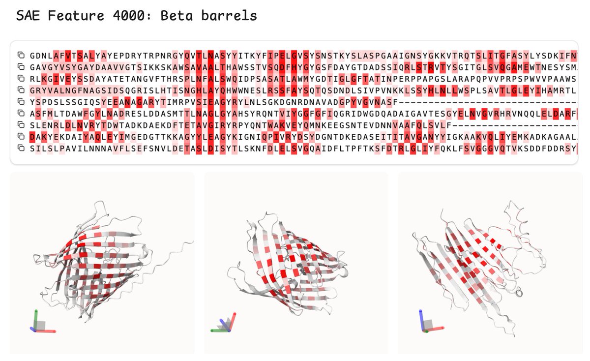 Inside the brain of a protein language model 🔍

A thread on reverse engineering neural networks:

Some methods, challenges, and rabbit holes on the 20 amino acids—the building blocks of life.