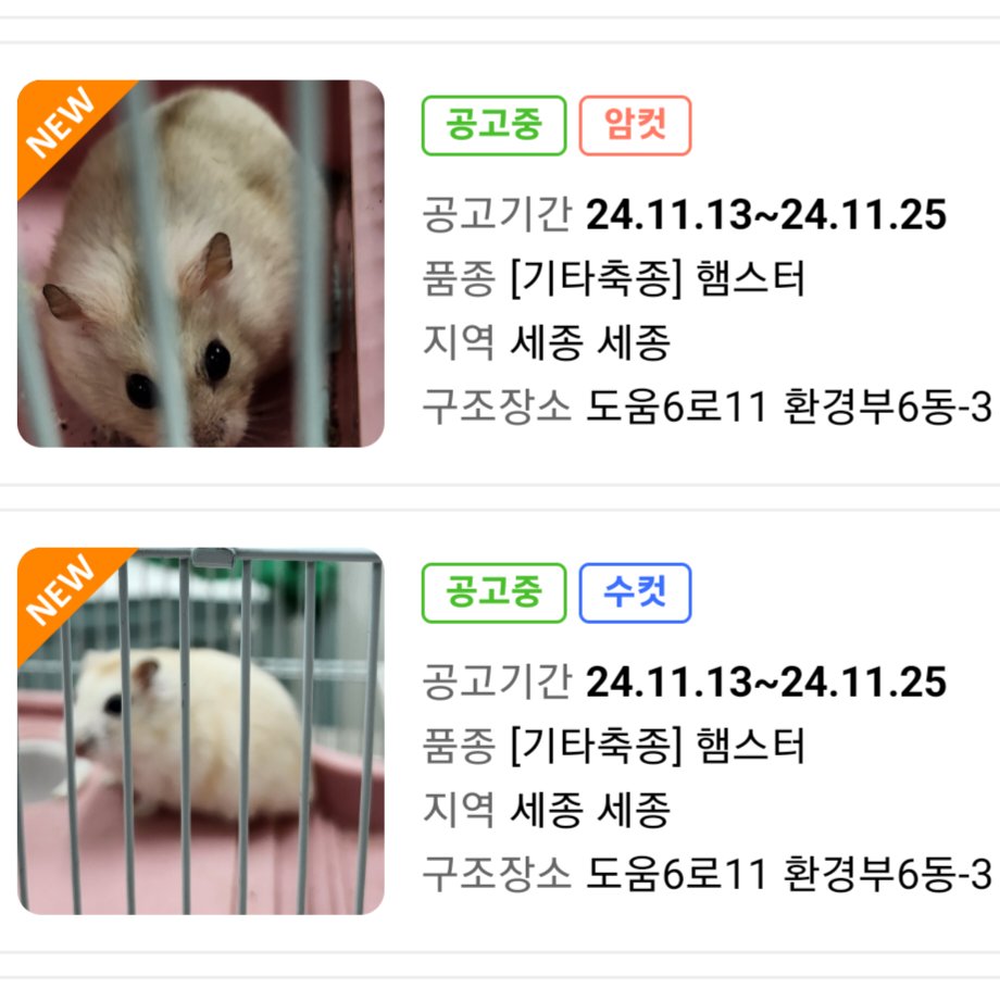 컷오프 프로젝트 tweet media