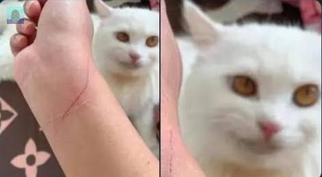 Tanyarl 💚 tweet media