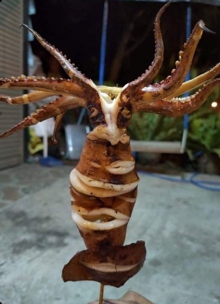 #loykrathongwithRE24

⠀⠀⠀⠀“ มาแล้วจ้าๆ~ วันนี้ร้านอภัยทานปิ้งย่างวันนี้เรามีของดีของเด็ดมาให้กับทุกท่านได้ทานกันถ้วนหน้า—

⠀⠀⠀⠀ประเดิมด้วยปลาหมึกลาสพลากัสย่าง ของขึ้นชื่อข้างสระน้ำของหลวงพ่อแสด สะอาดตั้งแต่ต้นจนจบแถมเนื้อกรุบกรอบพร้อมน้ำจิ้มฉ่ำๆ มาให้กินกันด้วย ”

➩