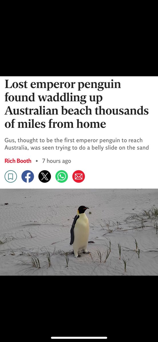 thenotorious030's tweet photo. @shahh Dont fade $GUS then 🐧🚀 Great Narrative and strong community 💯💯 https://t.co/LHy8eYyuRS