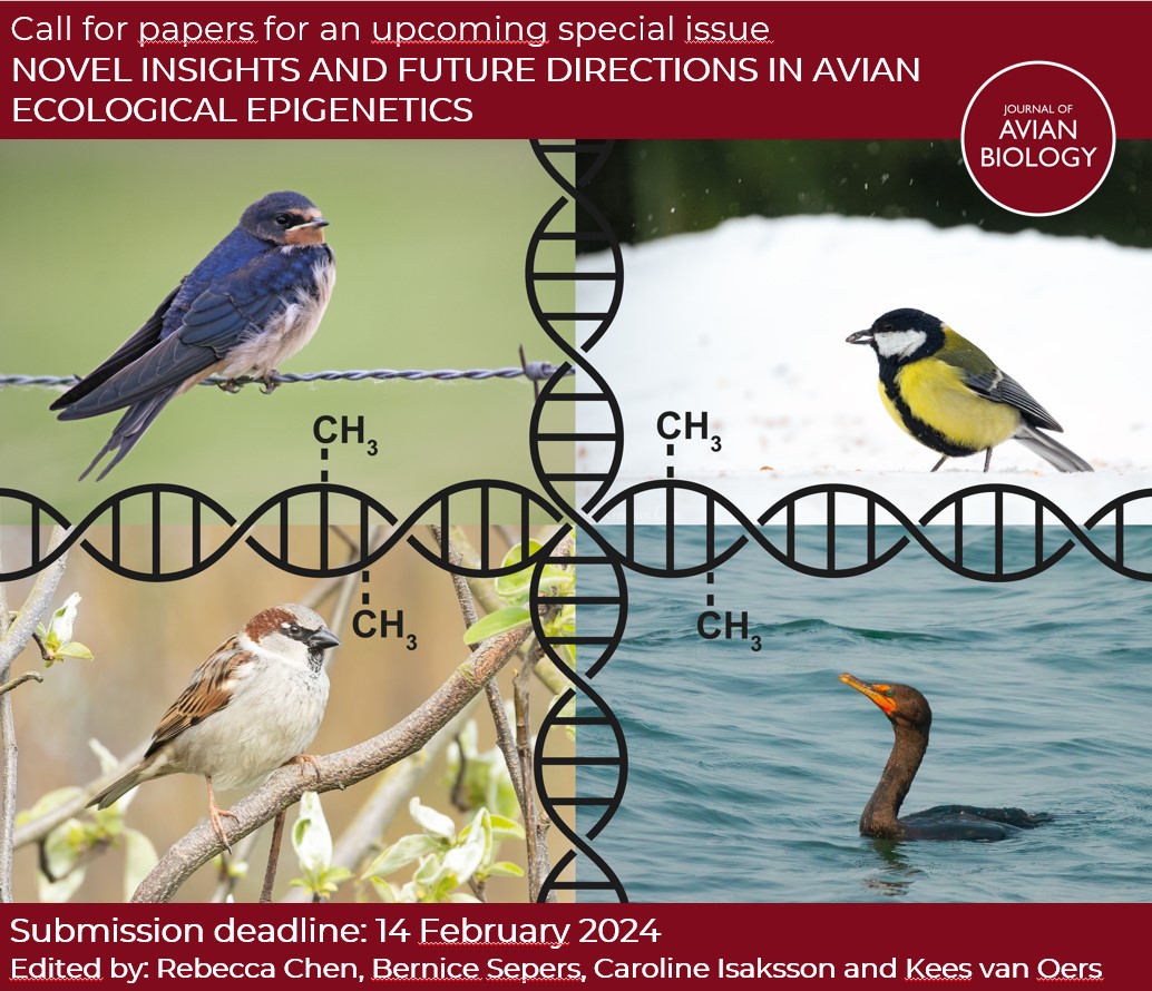 J. of Avian Biology (@avianbiology) on Twitter photo ❗Three months left to submit!❗
Special issue: Novel insights and future directions in avian ecological epigenetics
➡️ vist.ly/3mme3gt
<a href="/BerniceSepers/">Bernice Sepers</a> <a href="/rebeccas_chen/">Rebecca Chen</a> <a href="/KvanOers/">Kees van Oers</a> <a href="/CarolineIsak/">Caroline Isaksson</a>
#ornithology #epigenetics #DNAmethylation #histonemodifications #microRNA ❗Three months left to submit!❗
Special issue: Novel insights and future directions in avian ecological epigenetics
➡️ vist.ly/3mme3gt
<a href="/BerniceSepers/">Bernice Sepers</a> <a href="/rebeccas_chen/">Rebecca Chen</a> <a href="/KvanOers/">Kees van Oers</a> <a href="/CarolineIsak/">Caroline Isaksson</a>
#ornithology #epigenetics #DNAmethylation #histonemodifications #microRNA
