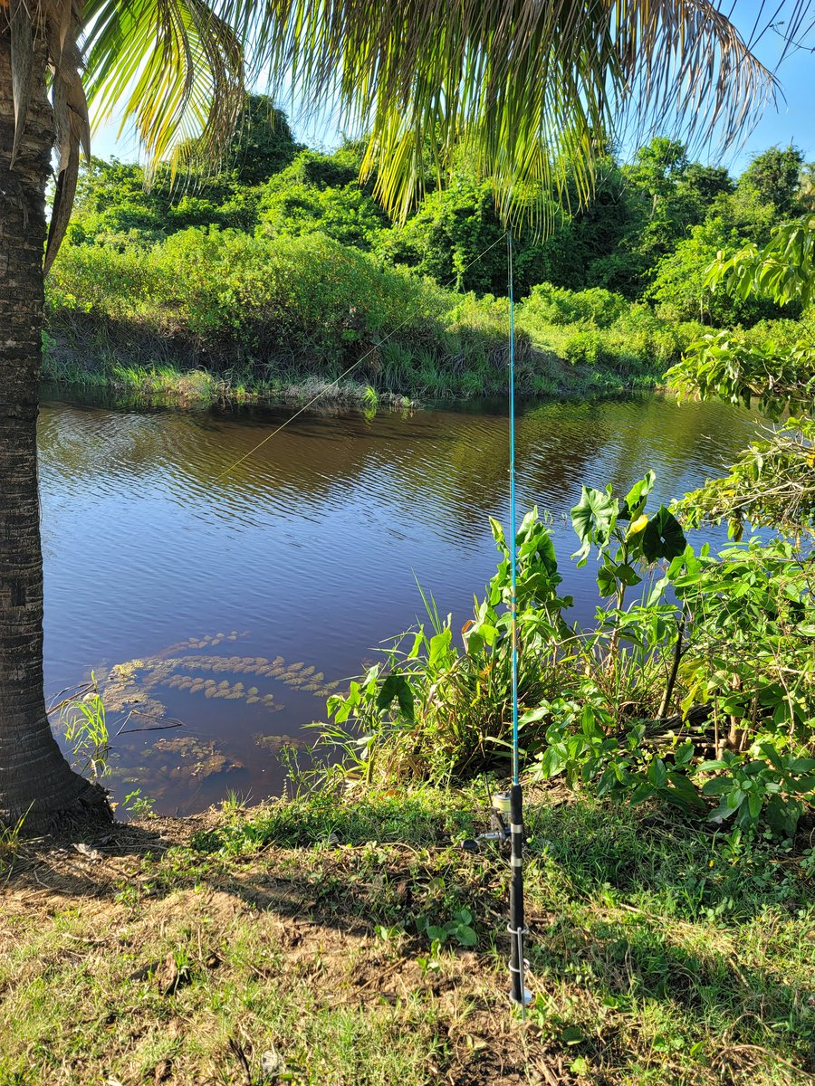 MarjeanZ tweet media