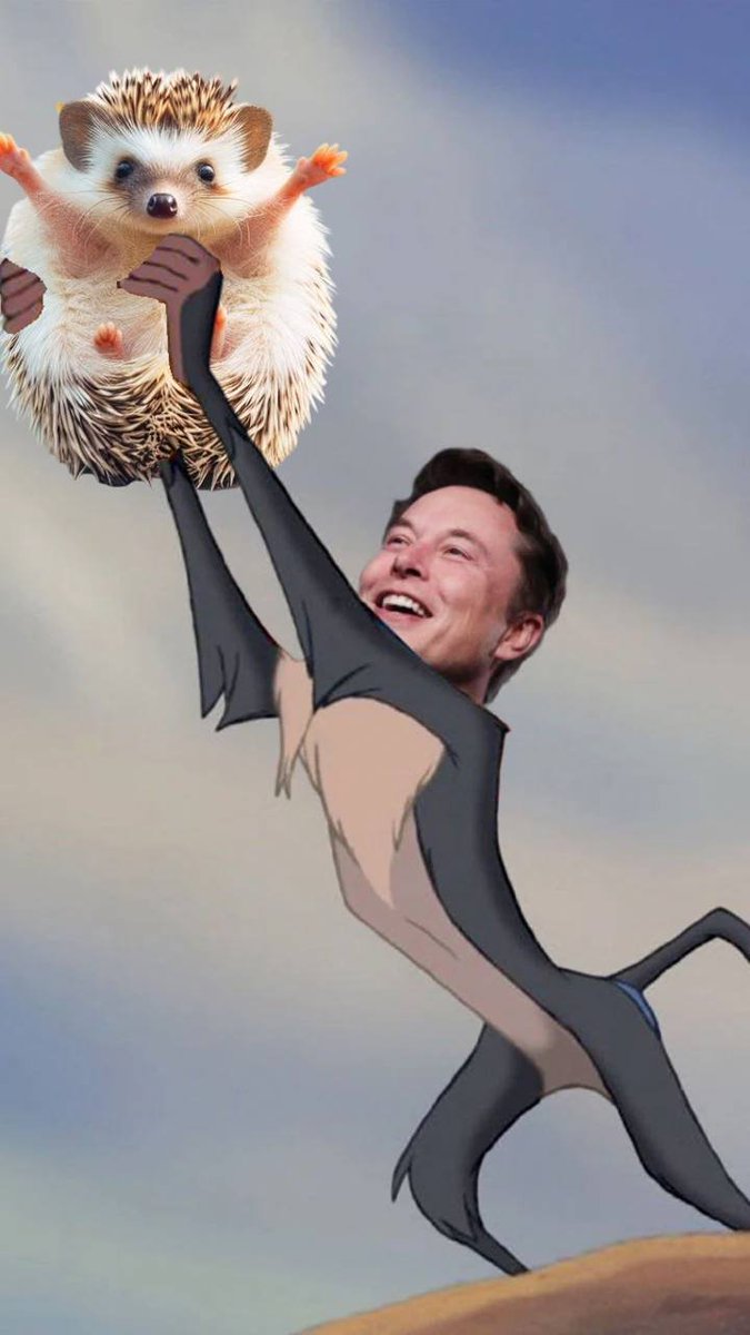 Andrew Kang (@rewkang) on Twitter photo 