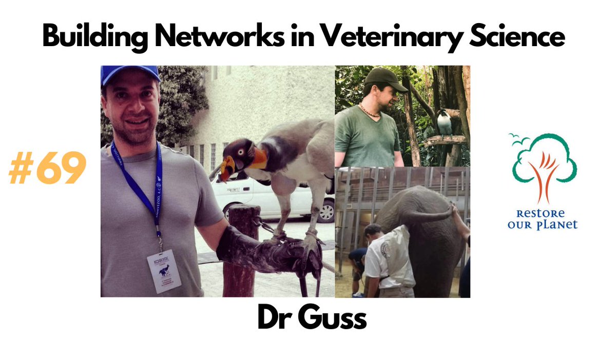 Struggling to get your #conservation or #veterinary expertise out there?

Watch: youtube.com/watch?v=CqD7OQ…
Listen: rss.com/podcasts/resto…

Doctor Guss shares his work with species and how promote #investment, #networking and #learning

#RestoreOurPlanetPodcast #VeterinaryScience