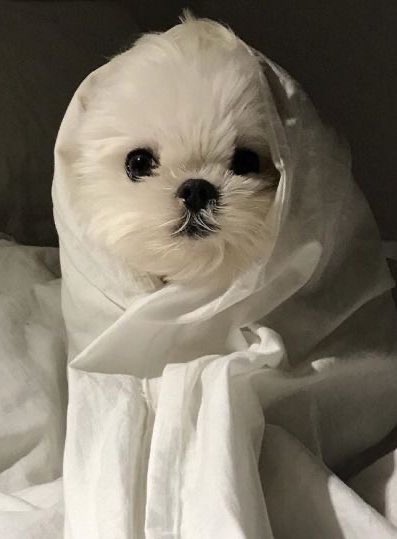 #이거범규