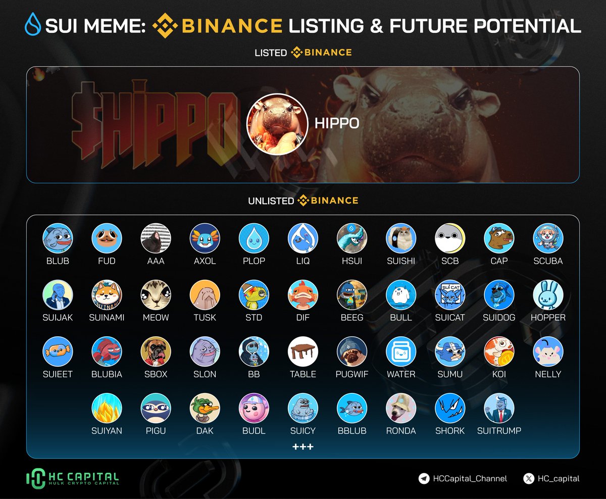 🚀 The hype around #SUI meme coins is skyrocketing! With $HIPPO becoming  the first SUI meme coin to be listed on #Binance, the community is buzzing  with excitement! 🌐 This milestone is