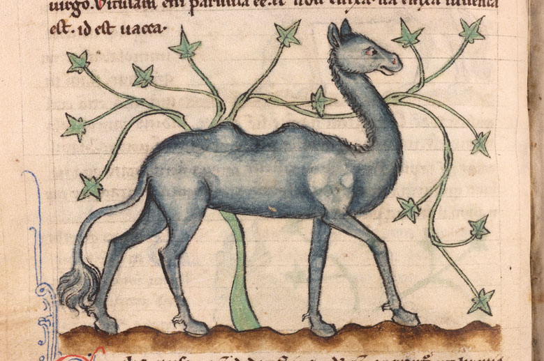 Emily Steiner (@piersatpenn) on Twitter photo Penn Alumni and friends: Sign up for my (virtual) lifelong learning lectures in Feb/March 2025!
Topic: Animals in Medieval Literature, Art, and Thought
<a href="/upennlib/">The Penn Libraries</a> <a href="/Penn/">Penn</a> <a href="/PennSAS/">Penn Arts & Sciences</a> <a href="/PennEnglish/">Department of English, University of Pennsylvania</a> <a href="/Pennalumni/">Penn Alumni</a> #animals
alumni.upenn.edu/s/1587/gid2/16… Penn Alumni and friends: Sign up for my (virtual) lifelong learning lectures in Feb/March 2025!
Topic: Animals in Medieval Literature, Art, and Thought
<a href="/upennlib/">The Penn Libraries</a> <a href="/Penn/">Penn</a> <a href="/PennSAS/">Penn Arts & Sciences</a> <a href="/PennEnglish/">Department of English, University of Pennsylvania</a> <a href="/Pennalumni/">Penn Alumni</a> #animals
alumni.upenn.edu/s/1587/gid2/16…