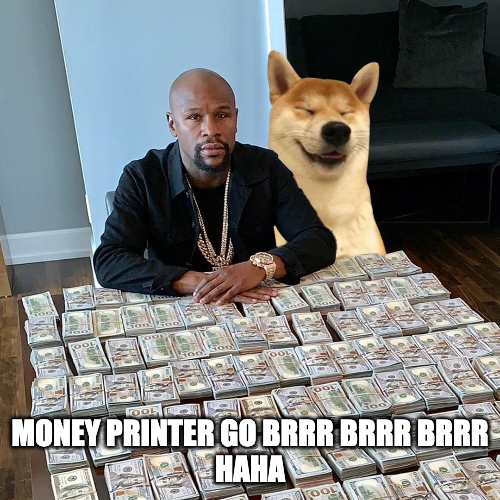 $haha dog tweet media