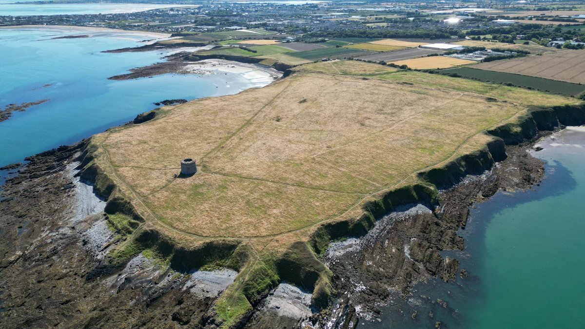 A 2,000-year-old fig was recently unearthed at Drumanagh, a promontory fort in North Dublin. Archaeologists believe it proves trade with the Roman Empire. The excavation also yielded other Roman-era artefacts, including metal and ceramic items from Spain, Gaul, and Roman Britain.