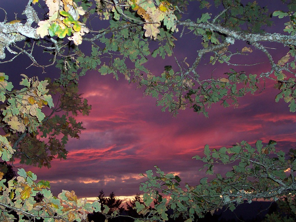 arma (@sovietsoleri) on Twitter photo 