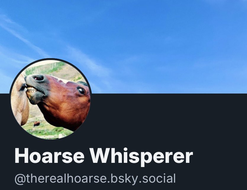 The Hoarse Whisperer tweet media
