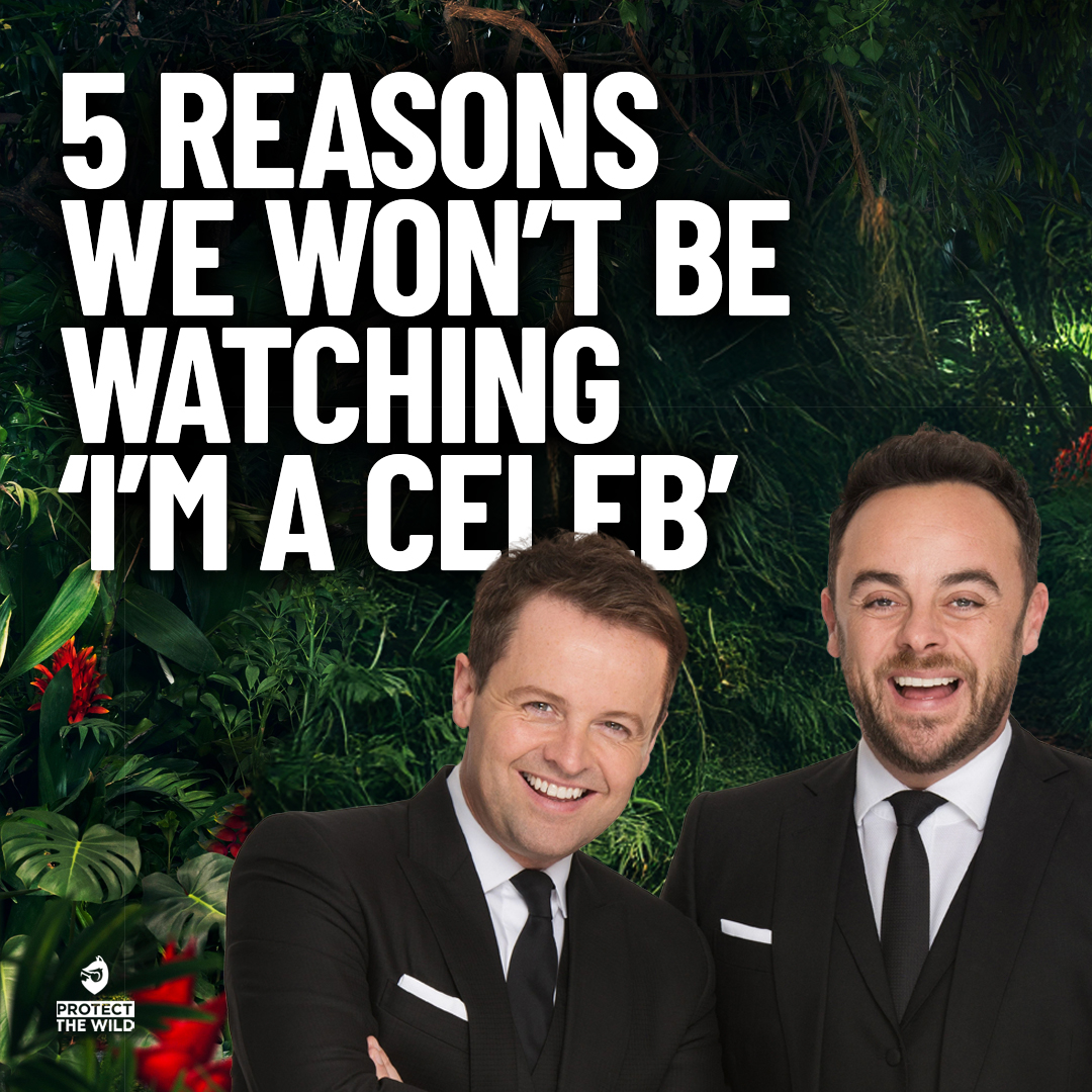 A thread 🧵 on why we're not watching I'm a celeb 👇