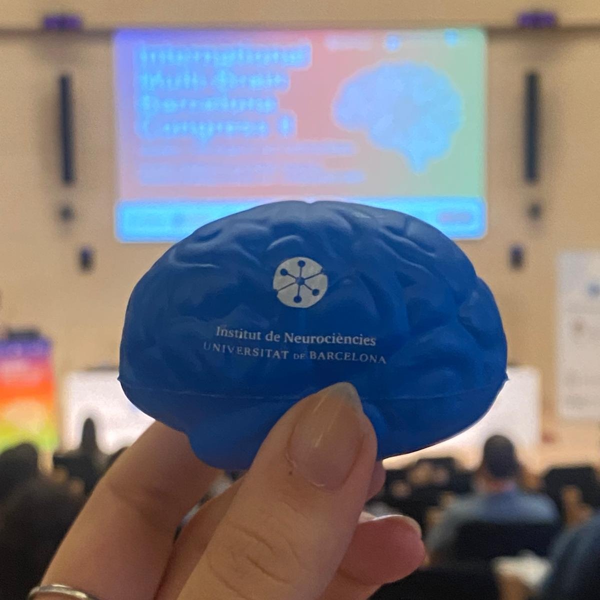 UBneuroscience's tweet photo. #MultiBrainII | 🧠🌍 The past 2 days at the second International Multibrain Barcelona Congress have been a whirlwind of innovation, insight, and collaboration! https://t.co/66C8ctRq50