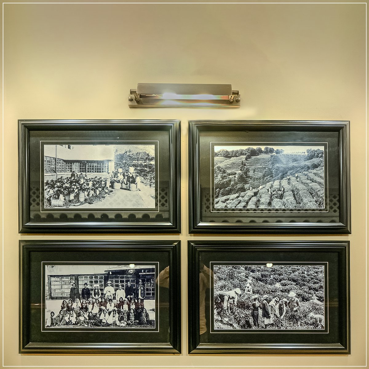 Mayfair Hotels tweet media