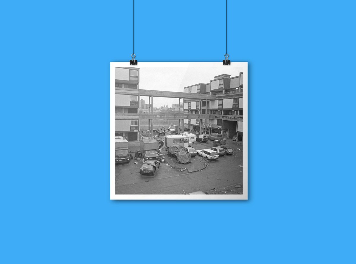 Martin Dust Photography tweet media