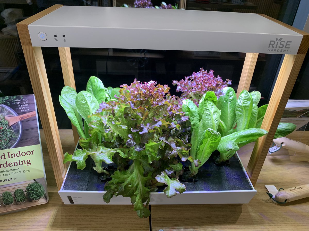 ๐๐๐ ๐ป๐๐๐ ๐๐๐๐๐๐ ๐ tweet media