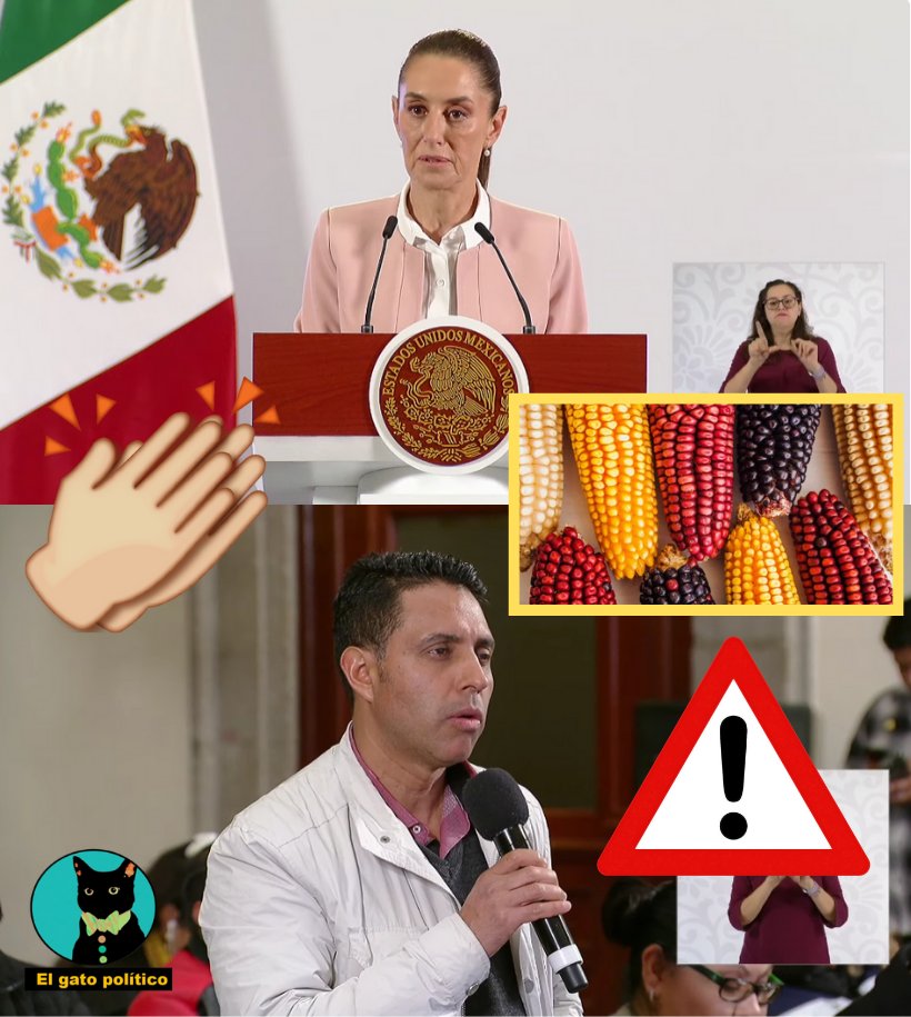 🔴¡Eso sí calienta, EU!
La presidenta defiende al maíz mexicano contra el maíz transgénico de EU y anuncia que pronto estará en la Constitución que el maíz que se siembre en México no sea genéticamente modificado:

"Nosotros tenemos la obligación principal que el maíz blanco que