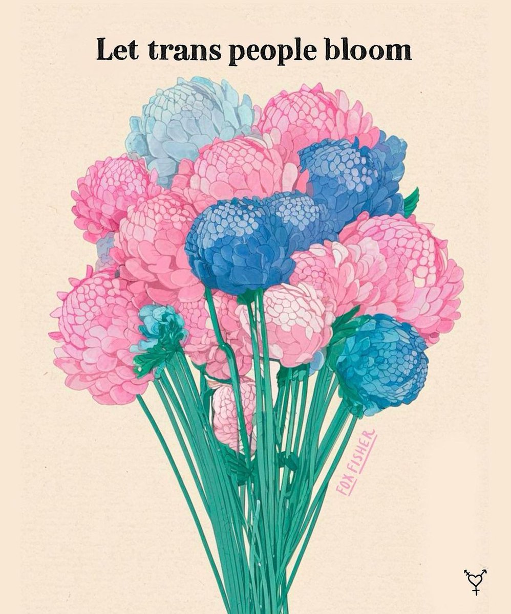 🏳️‍⚧️Happy Trans Awareness Week! 🏳️‍⚧️

In the run up to our Queer Minds launch, we asked people about their experiences and hopes for receiving mental health support for trans people 👇 selmind.org.uk/news/2024/11/t…

Thanks to @thefoxfisher for creating this beautiful illustration.