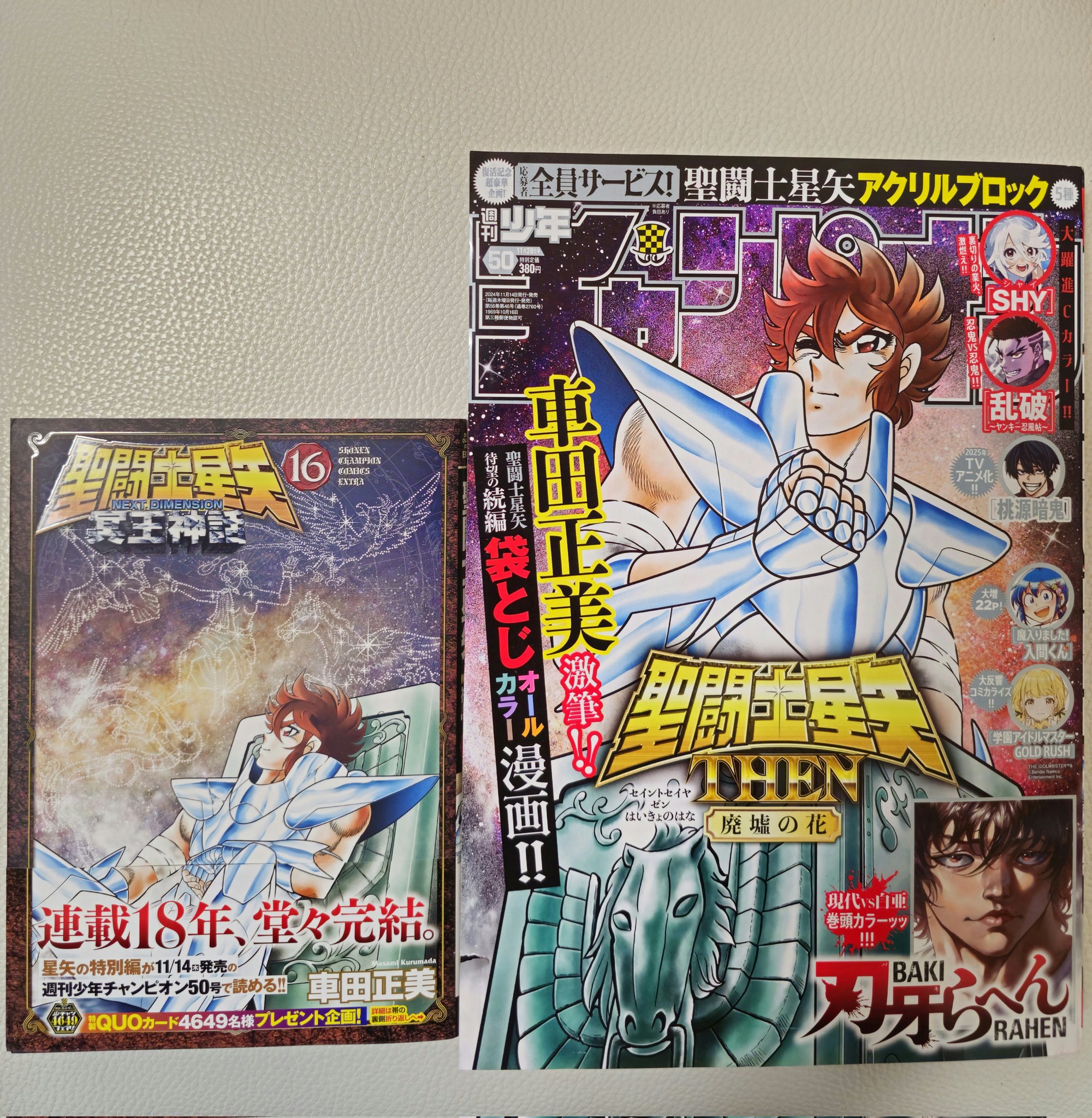 聖闘士星矢THEN廃墟の花 - Search / X