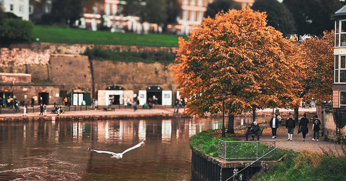 Exeter City Council tweet media