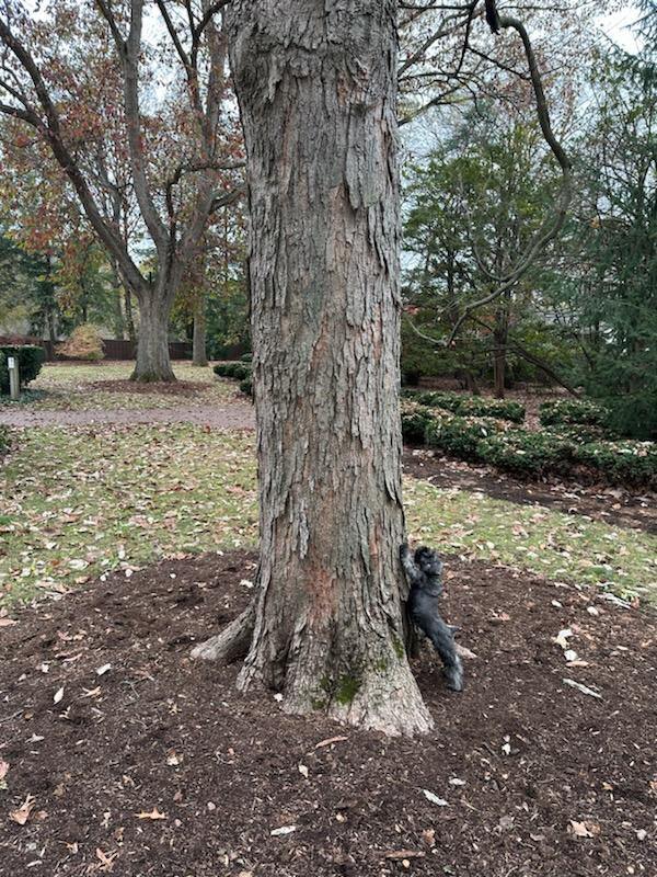 Oliver Holcomb tweet media