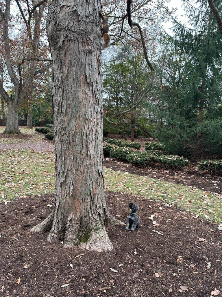 Oliver Holcomb tweet media