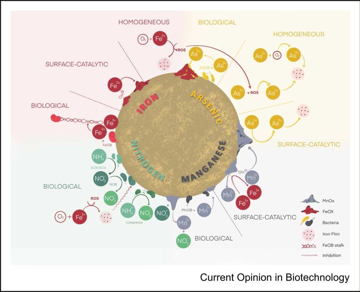Francesc Corbera Rubio (@francesccorbera) on Twitter photo "Write the paper you would have liked to read when you started your PhD" said <a href="/MicheleLaureni/">Michele Laureni</a>.
And here it is. After 4 years working on the intricacies of nitrogen, iron and ammonia removal with biotechnologists and engineers, academics and practitioners, our* opinion
1/2 "Write the paper you would have liked to read when you started your PhD" said <a href="/MicheleLaureni/">Michele Laureni</a>.
And here it is. After 4 years working on the intricacies of nitrogen, iron and ammonia removal with biotechnologists and engineers, academics and practitioners, our* opinion
1/2