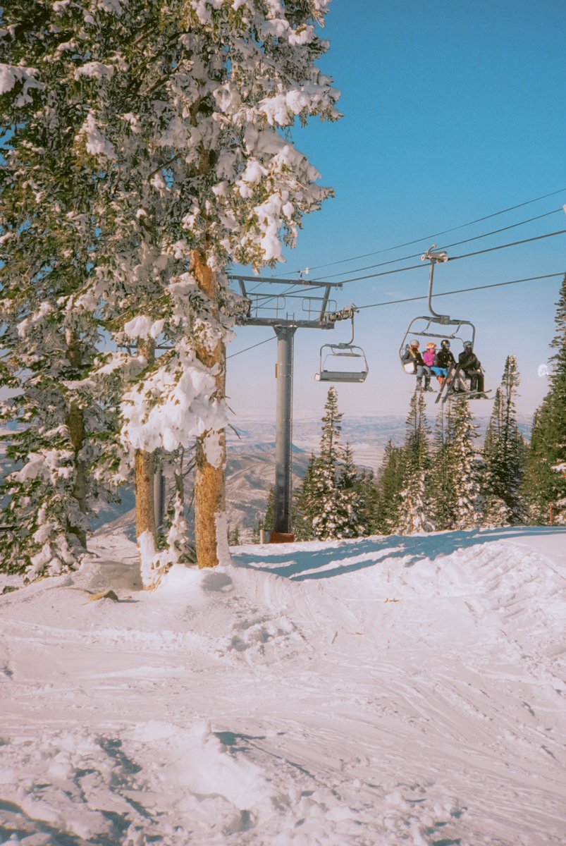 AlexKittoe's tweet photo. Winter on 35mm 🎞️ https://t.co/kSS4TDsIgh