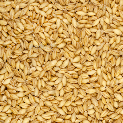 zowasel's tweet photo. Are you an agribusiness trading cocoa, paddy rice, soybeans, or barley? We have verified buyers ready! Sell with us and get paid within 24-48 hours after delivery. 
 Start now ▶ https://t.co/NBKBegOPyf  
📞 020 1342 4403 | WhatsApp: +234 702 506 5664  
📧 marketplace@zowasel.com https://t.co/yDABmM5LFv