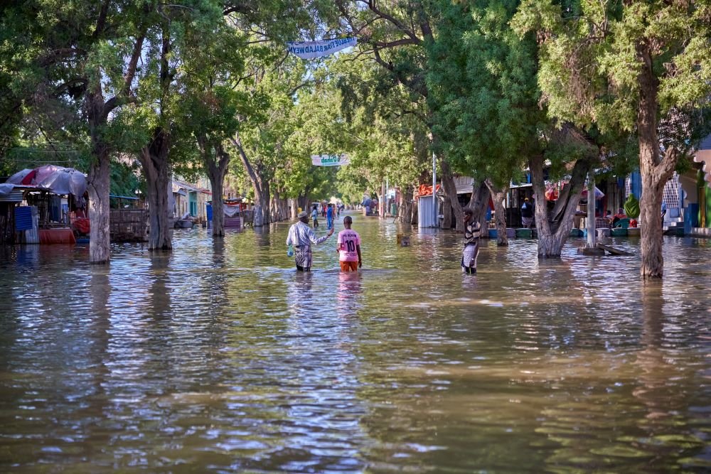 DDisplacement's tweet photo. #2 COP29 #KeyMessage: Integrating #HumanMobility into the 2024 Review of Warsaw International Mechanism will🤝#LossAndDamage coordination. With support from the Task Force on Displacement, we can align country-level actions with development & recovery.➡️: https://t.co/Kl8oDCd9gK https://t.co/lzyBKVXqFz