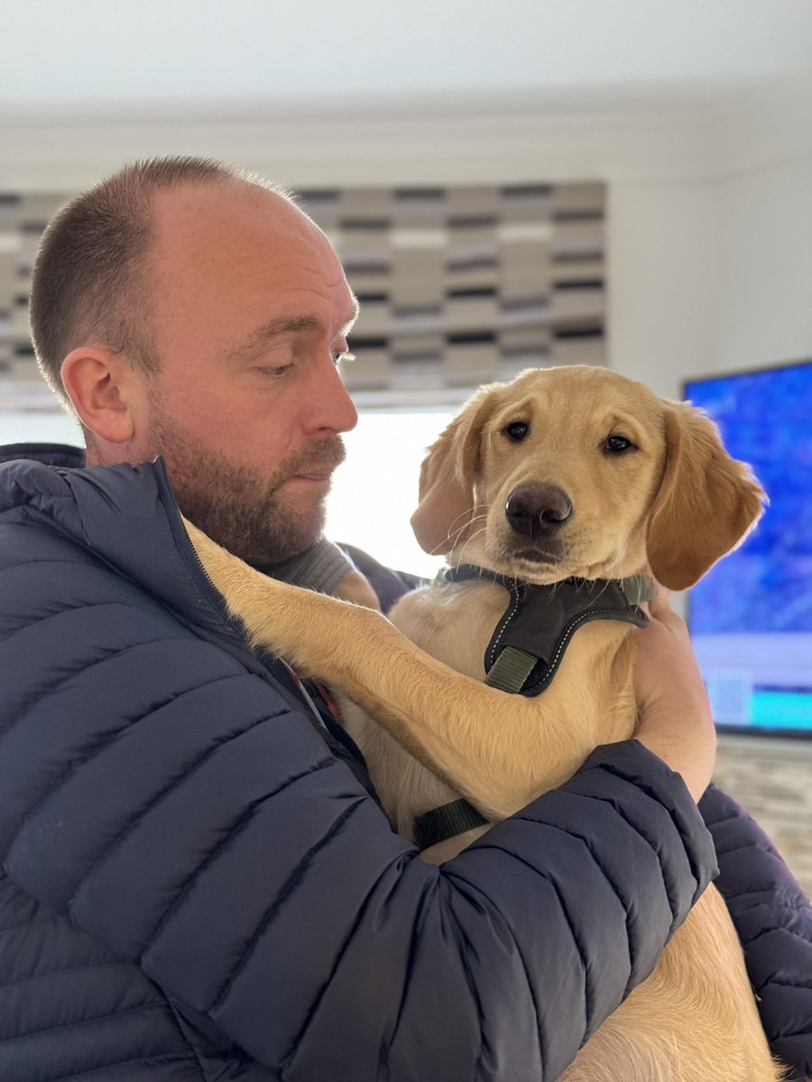 SpanielsSuper's tweet photo. @morgan_rye Dexter is HuBro’s puppy he’s 4 months old 
He’s come to visit for the day 
#OneOfTheGang https://t.co/ls8DWkpe7g