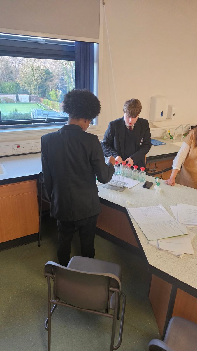 BiologyNinians's tweet photo. Higher biologists are working hard on their assignments today 👨‍🔬👩‍🔬

@stninianshs 
@DavidKillin https://t.co/tLvpbrBD7D