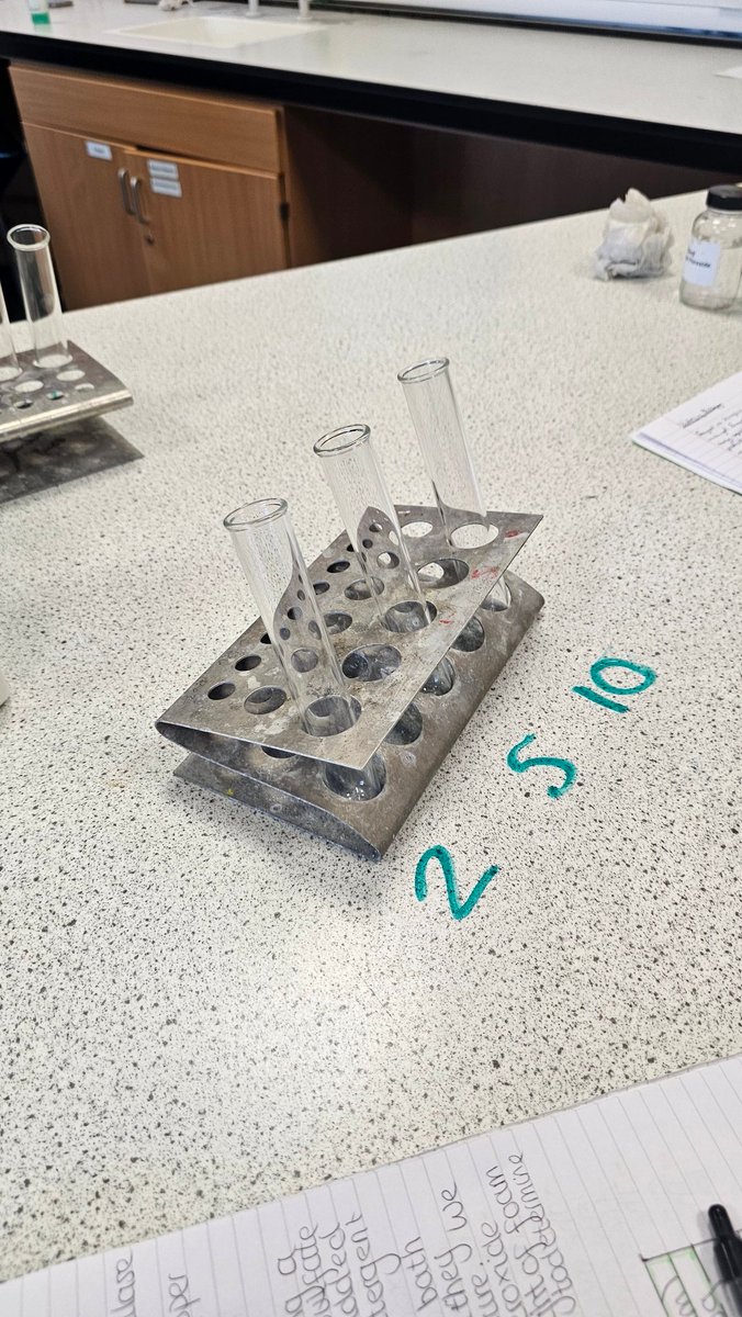 BiologyNinians's tweet photo. Higher biologists are working hard on their assignments today 👨‍🔬👩‍🔬

@stninianshs 
@DavidKillin https://t.co/tLvpbrBD7D