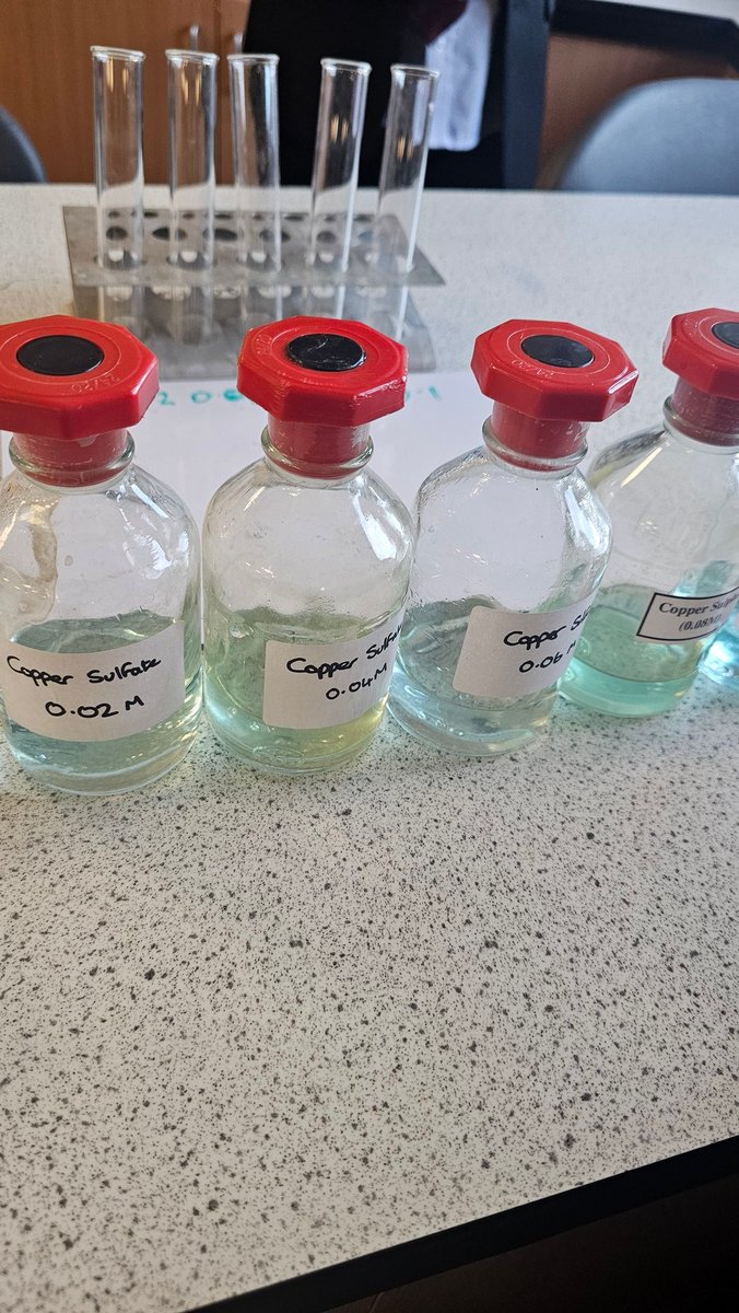 BiologyNinians's tweet photo. Higher biologists are working hard on their assignments today 👨‍🔬👩‍🔬

@stninianshs 
@DavidKillin https://t.co/tLvpbrBD7D