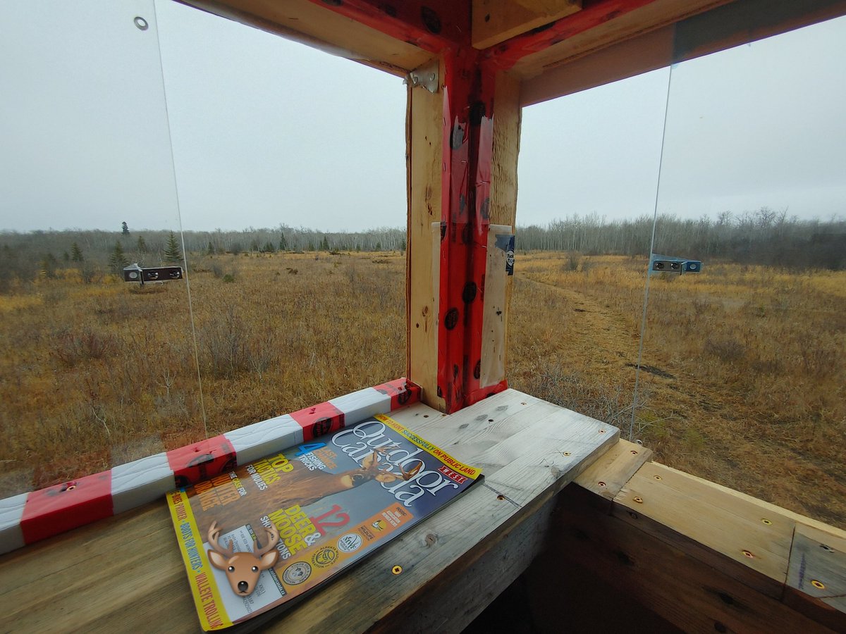 Bomber_blue22's tweet image. View from my office @OutdoorCanada 
@OutdoorCanadaW

#deerhunting
#deerseason
#catchingdeer