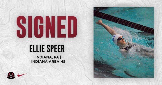 IUP Swimming & Diving tweet media
