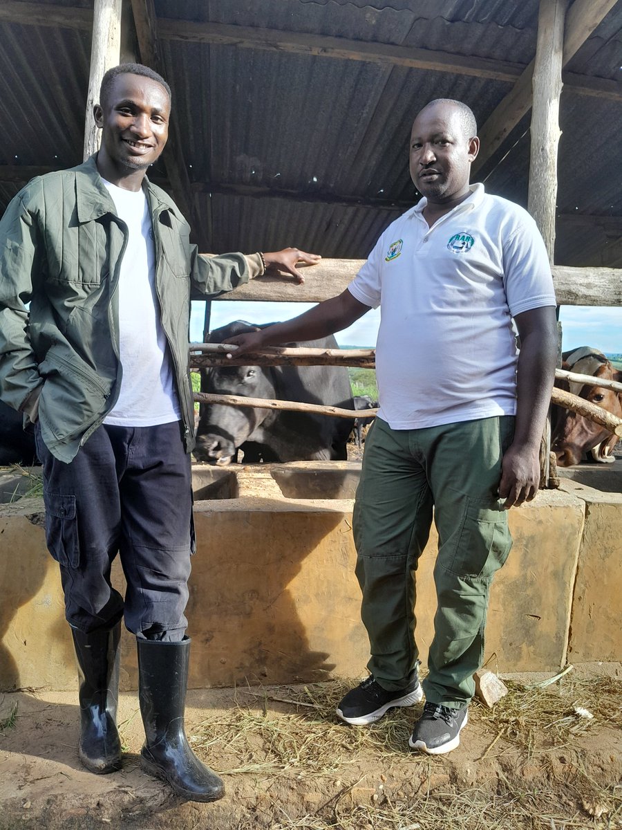 AGRONOMME 🇷🇼 tweet media