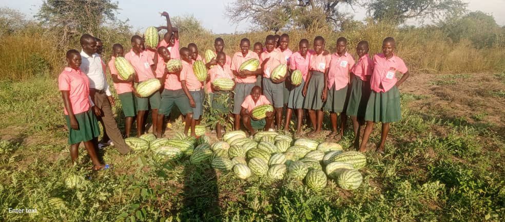 OmiaLtd's tweet photo. This is the Headteacher of Etia Primary School, Adjumani District, Mr. Simon smiling after a bumper harvest of watermelon yet it is his first time venturing in the enterprise (watermelon).

He carefully followed the technical guidance of our knowledgeable Field Officer, Mr. Atibu Andrew, from variety selection, land preparation, field management practices till harvest.

Let us walk you through the journey of success in a farming enterprise if you are doing it for the first time 

#Farmersfirst
