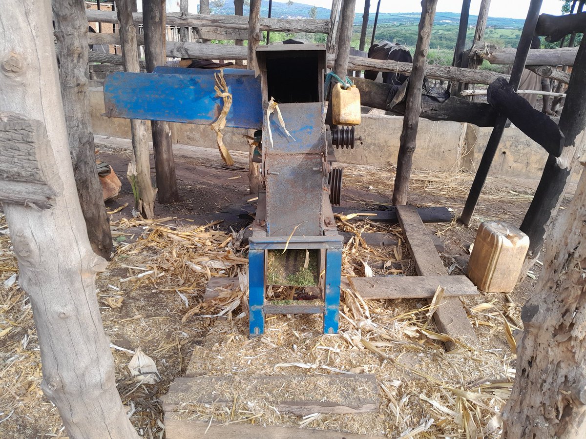 AGRONOMME 🇷🇼 tweet media