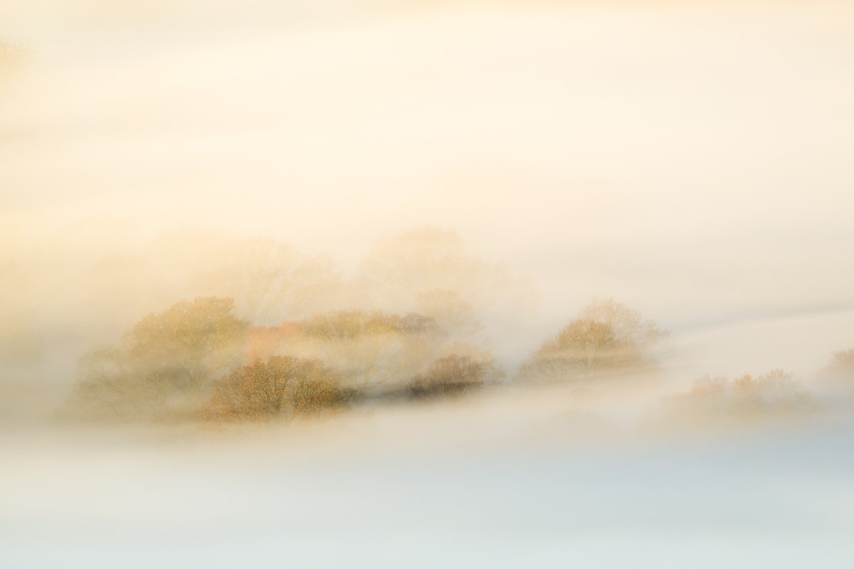 David Rippin🏔🌳📷🧗‍♂️🚴‍♂️🇪🇺 tweet media