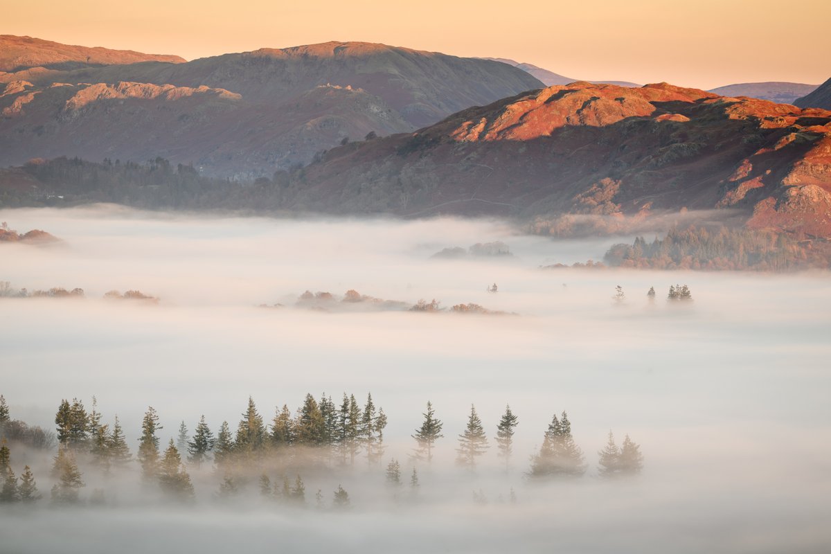 David Rippin🏔🌳📷🧗‍♂️🚴‍♂️🇪🇺 tweet media