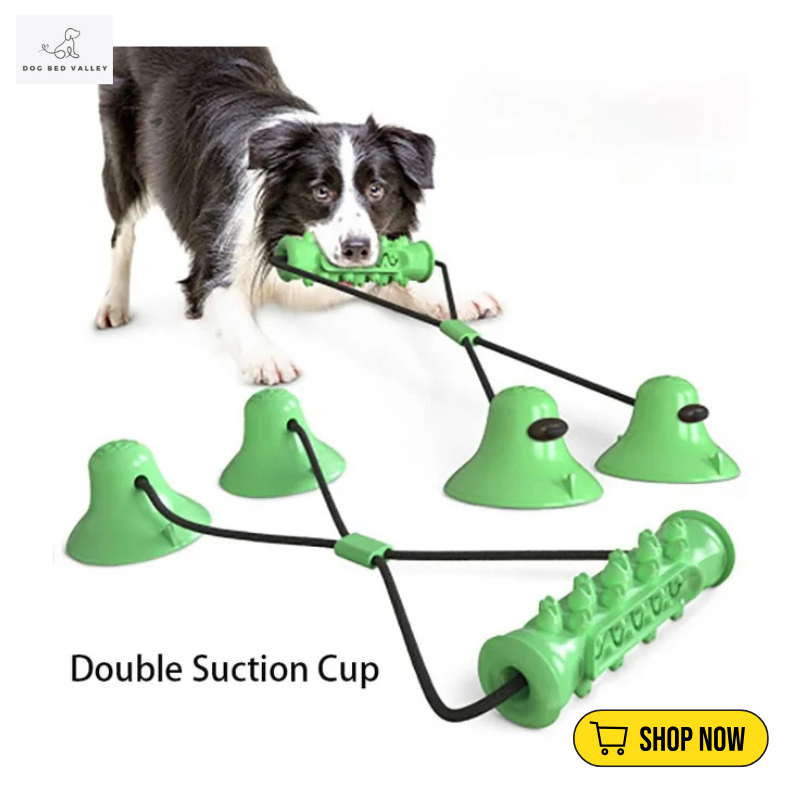 dogbedvalley's tweet photo. 🐕❤️ Keep your furry friend’s smile bright! Our Chew Toothbrush Toy effortlessly tackles plaque while your pup has a blast. Say goodbye to dental struggles and hello to fun! 🎉 What do you use for your dog's dental hygiene? Share below!
Shop Now: https://t.co/6MO6zrcKXA https://t.co/FNTV4fTMMW