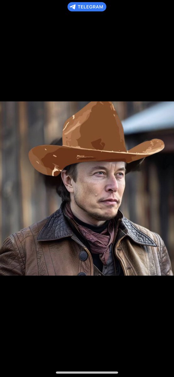 BurntToast_007's tweet photo. @elonmusk You’ve seen dog with hat, but ELON what about PEANUTS HAT? $PHAT https://t.co/k1Bxadhz4u