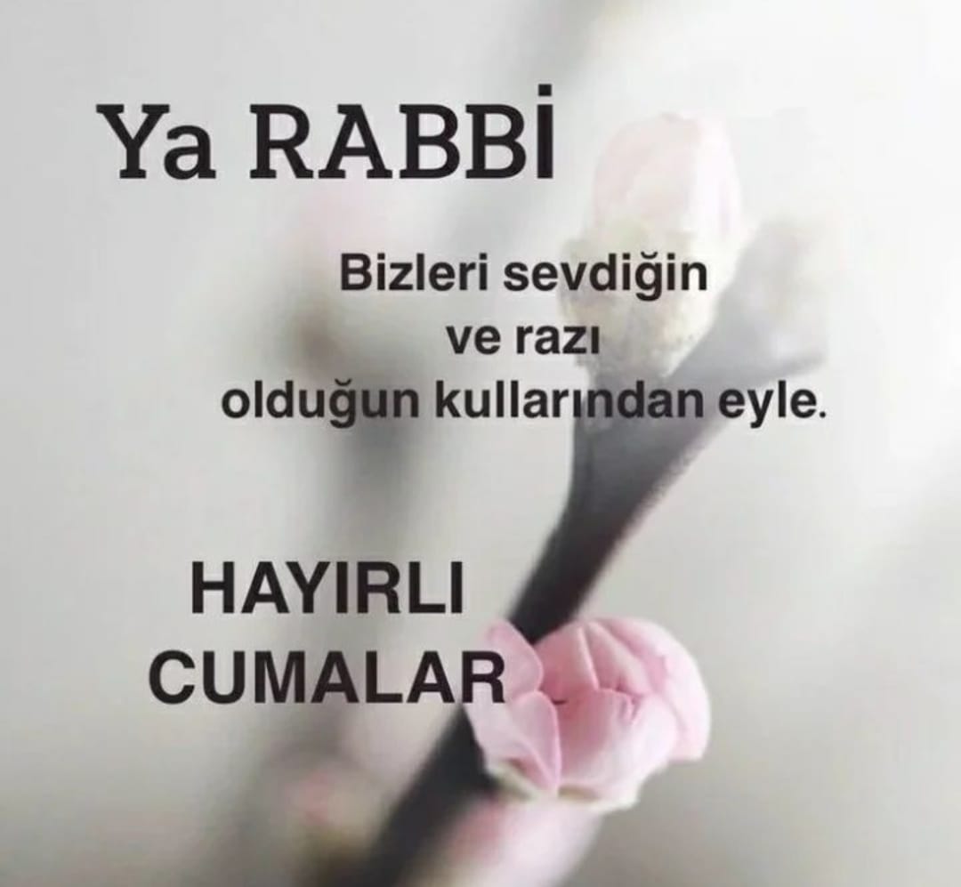 FAHRETTİN HARMANKAYA ana hesap F.harmankaya (@fahrettnharmank) on Twitter photo 