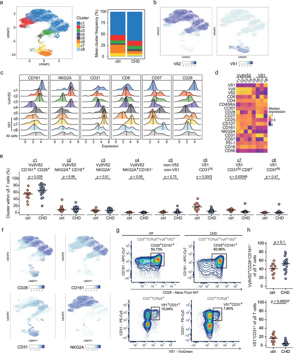 Waggoner Lab (@labwaggoner) on Twitter photo Early-life thymectomy leads to an increase of granzyme-producing γδ T cells in children with congenital heart disease <a href="/SarinaRavens/">Sarina Ravens</a>
nature.com/articles/s4146… Early-life thymectomy leads to an increase of granzyme-producing γδ T cells in children with congenital heart disease <a href="/SarinaRavens/">Sarina Ravens</a>
nature.com/articles/s4146…