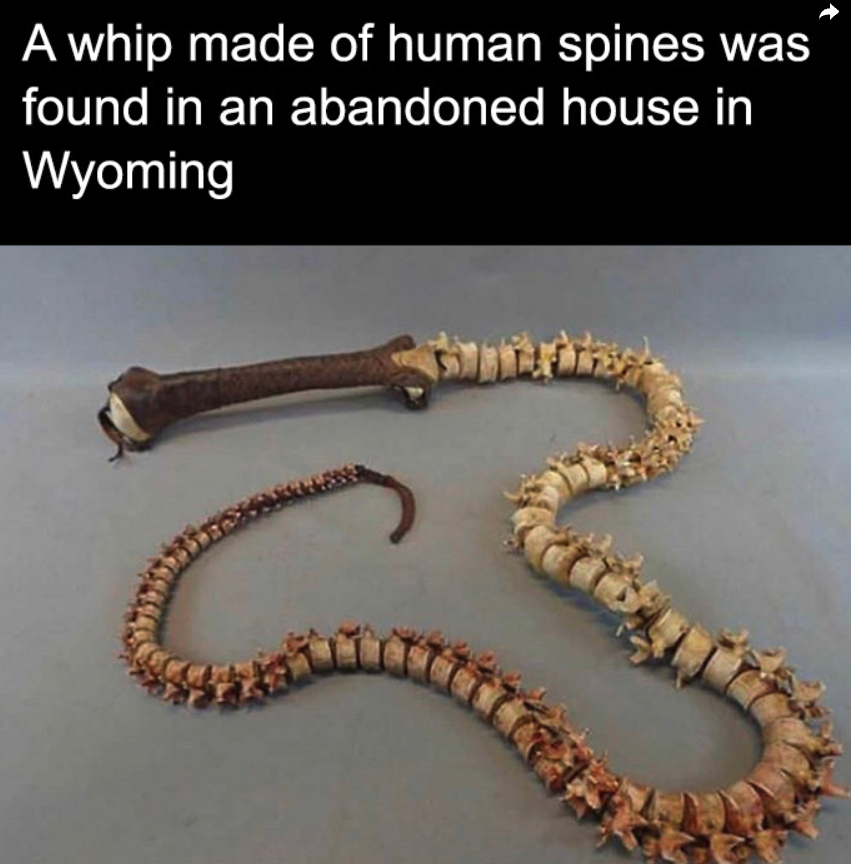 TCWTMedia's tweet image. 👻🌲 Terrifying Thursday Fact! 🌲👻

In Wyoming, a whip made from human spines was reportedly discovered, sparking eerie speculation about its origins and the chilling stories it might tell. 😱 💀

#TerrifyingThursday #WyomingMystery
